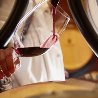 Visita Privada Experiencia a Bodegas Virtus con Cata y Maridaje (Valladolid)