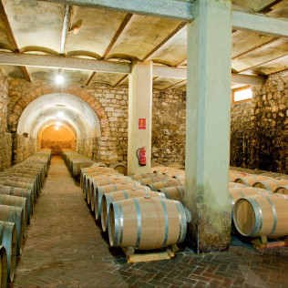 Visita a Bodega y Cata de 4 Vinos para dos en Bodega Marqués de Montecierzo (Navarra)