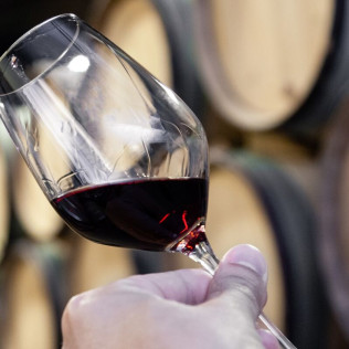Visita a Bodega y Degustación para dos en Bodega Mayo García (Castellón)