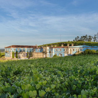 Visita a Bodega Granbazán, Cata de Vinos y Comida para dos (Vilanova de Arousa, Pontevedra)