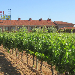 Visita Teatralizada con Cata a Bodega y Circuito Spa para dos en Hotel 4* de Aranda de Duero (Burgos)