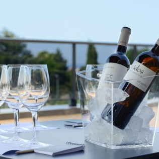 Visita a Bodega con Cata en Adega Dos Eidos y Spa para dos en Hotel Spa Galatea 4* (Sanxenxo, Pontevedra)