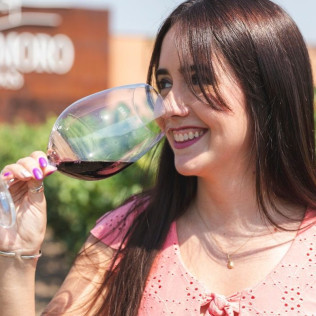 El Vino Te Habla: Visita a Bodega, Aperitivo y Cata de Vino en Bodegas Emilio Moro (Valladolid)