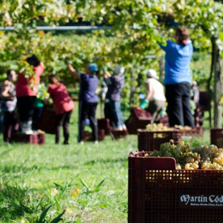 Escapada con Spa en Hotel Spa Galatea 4* en Sanxenxo y Visita a Bodegas Martín Códax con Cata para dos (Pontevedra)