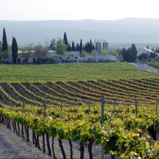 Visita Bodegas Pérez Barquero y Degustación de Cuatro Vinos para dos (Montilla, Córdoba)