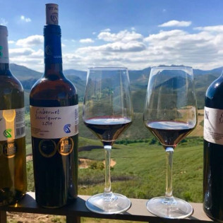 Visita a Bodega Ruiz Torres, Cata de 3 vinos y Obsequio para dos (Cáceres)