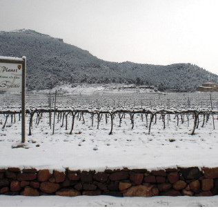 Visita al Celler Mas Foraster y Cata de 4 Vinos para dos (Montblanc, Tarragona)