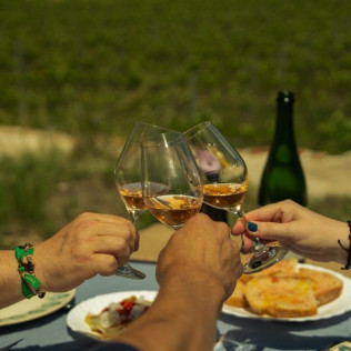 Visita a Bodega, Cata de Vinos y Comida en Celler Clot de les Soleres (Piera, Barcelona)