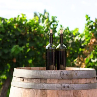 Experiencia Completa de Viticultura y Cata de Vinos para dos en Bodega Miquel J. Jané (Barcelona)