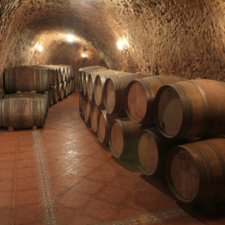 Visita a Bodega Renalterra y Cata de Vino Crianza Ribera del Duero con Aperitivo para dos (Gumiel de Izán, Burgos)
