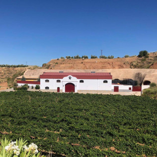 Visita a las Bodegas Muñana y Degustación de vino para dos (Granada)