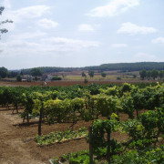 Visita Guiada por Bodega Baronia de Vilademuls y Cata de Vinos para dos (Parets d’Empordà, Girona)