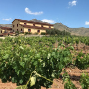 Visita a Bodegas Perfer con Cata de Vinos y Aperitivo para dos (Uleila del Campo, Almería)