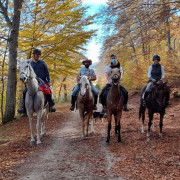 Paseo a Caballo (Zaragoza)