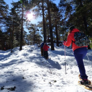 Excursión en Raquetas de Nieve (Navacerrada, Madrid)