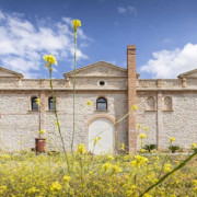 Escapada en Hotel con Visita a Bodega y Cena Maridaje en Bodegas Besalduch Valls & Bellmunt (Castellón)