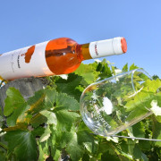 Visita Guiada a Bodegas Santa Margarita con Cata de Vinos y Degustación de Embutidos para dos (Caudete, Albacete)