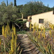 Visita Guiada a Ecoherbes: Jardí Botanic (L'Ampolla, Tarragona)