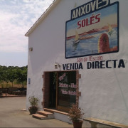 Visita a la Fábrica-Museo de Anchoas SOLÉS con Audioguía y Degustación (L'Escala, Girona)