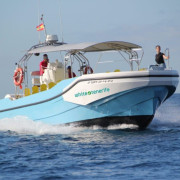 Aventura Náutica a Los Gigantes desde Los Cristianos (Tenerife)