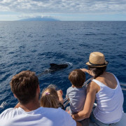 Avistamiento y Escucha de Ballenas y Delfines de 5 horas (Costa Adeje, Tenerife) 