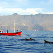 Excursión en Barco con Avistamiento de Cetáceos (La Gomera)
