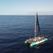 Avistamiento y Escucha de Ballenas y Delfines de 3 horas (Costa Adeje, Tenerife) 