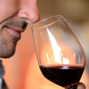 Visita a Bodega y Cata de Vinos para dos en Celler Cal Menescal (Tarragona)