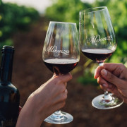 Visita a la Bodega y Almazara Aldonza Gourmet con Degustación de Cava, Vinos y Aceite AOVE para dos (Munera, Albacete)
