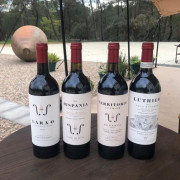 Visita a Bodega Territorio Luthier con Degustación y Aperitivo para dos (Aranda de Duero, Burgos)