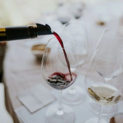 Paseo por Viñedos en 4x4 y Visita a Bodega Arínzano con Cata de Gama Completa de Vinos y Aperitivo (Navarra)