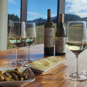 Visita Guiada con Cata de Txakolis y Degustación de Queso en Bodega Berroja (Ajuria, Vizcaya)