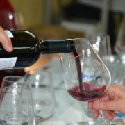 Visita Guiada con Cata de Vinos y Aperitivo para dos en Bodega Aumesquet Garrido (Cadalso de los Vidrios, Madrid)