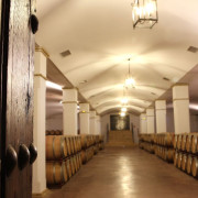 Visita a Viñedos y Bodega Valdealto con Cata de Vinos y Circuito Spa en Hotel Balneario El Raposo 4* para dos (Badajoz)