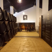 Visita Guiada a Bodega Cayetano del Pino con Cata de Vinos (Jerez de la Frontera, Cádiz)