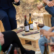 Visita a la Bodega y Viñedos, Cata de Vinos y Aperitivo para dos en Las Moradas de San Martín (San Martín de Valdeiglesias, Madrid)