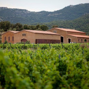 Visita a la Bodega y Cata de Vinos y Aceite en Masia Serra (Cantallops, Girona)