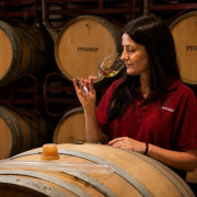 Sílice 501: Visita a la Bodega Histórica Pinord Vilafranca con Cata de Vino y Maridaje para dos (Vilafranca del Penedés, Barcelona)