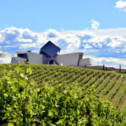 Visita a Bodega Sommos con Cata de 3 Vinos (Barbastro, Huesca)