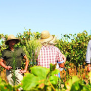 Visita a Bodegas Andrade, Viñas y Museo del Vino con Vermut, Cata de Vinos y Tapas para dos (Huelva)
