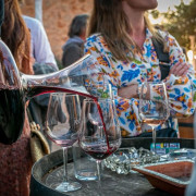 Visita a Bodegas Ángel con Cata de Vino (Santa María del Camí, Mallorca)