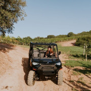 Paseo por Viñedos en 4x4 y Visita a Bodega Arínzano con Cata de Vinos y Pícnic (Navarra)