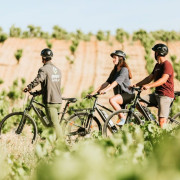 Ruta en Bicicleta y Visita a Bodega con Cata y Aperitivo para dos (La Rioja)