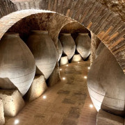 Visita con Cata para dos en Bodegas y Viñedos Pedro García (Colmenar de Oreja, Madrid)