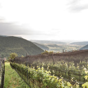 Visita a Bodegas Bal Minuta y Comida con Maridaje de 5 Vinos (Barbenuta, Huesca)