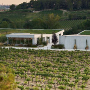 Milfulles 502: Visita a Viñedo y Bodega Pinord Mas Muntanyans con Degustación de 4 Vinos para dos (Les Masuques, Barcelona)