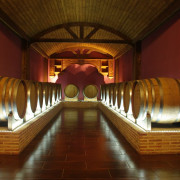 Visita a Bodega y Museo del Aceite con Cata de Vinos, Aceite y Embutidos Ibéricos para dos (Villena, Alicante)