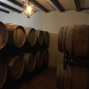Visita a Bodegas Viña Placentina con Cata de Vinos y Circuito Spa para dos en Hotel Hospes Palacio de Arenales & Spa 5* (Cáceres)