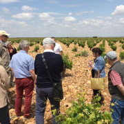 Visita "Conoce Legado de Orniz" con Degustación de Vinos para dos (San Román de Hornija, Valladolid)