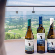 Visita Tradicional a Bodegas Vionta con Cata de Vinos para dos (Meaño, Pontevedra)